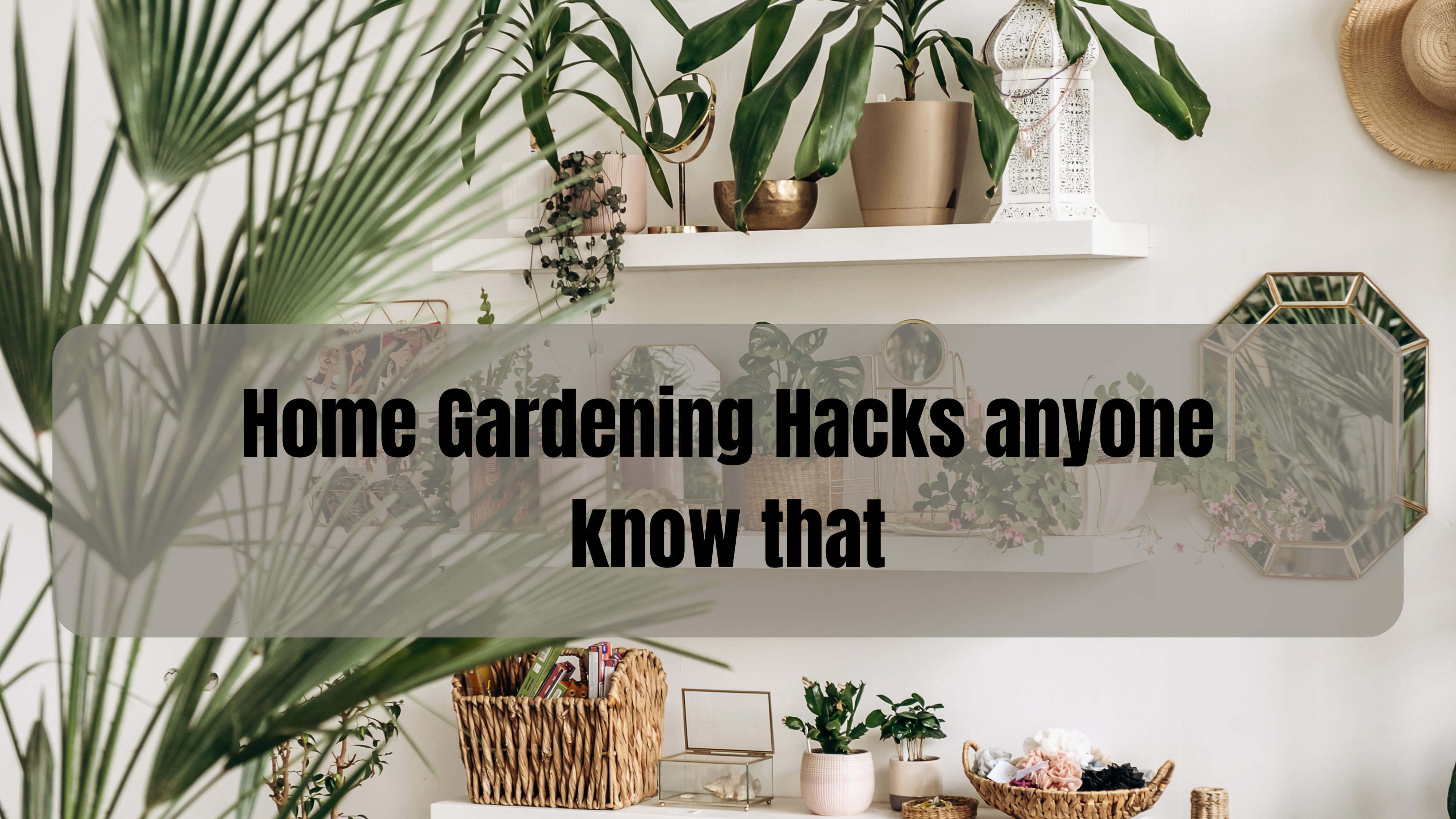 20 Home Gardening Hacks Every Beginner Needs to Try