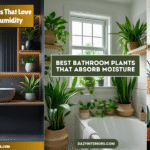 Bathroom Plants That Absorb Moisture